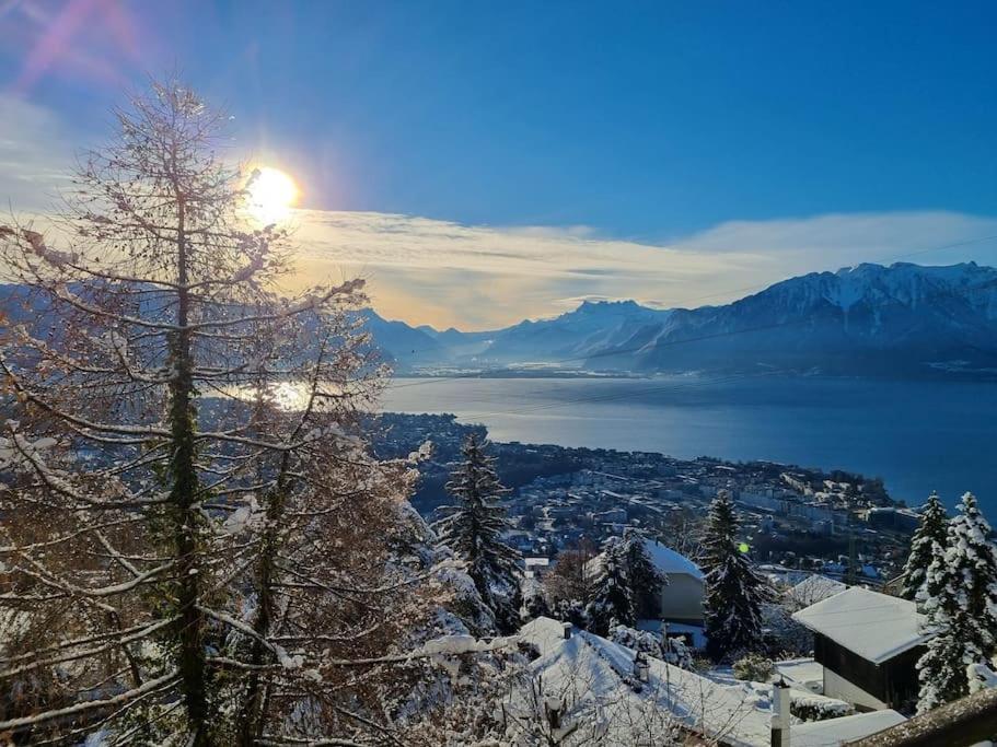 Le Toit De Chardonne - Entre Alpes Et Lac Leman エクステリア 写真