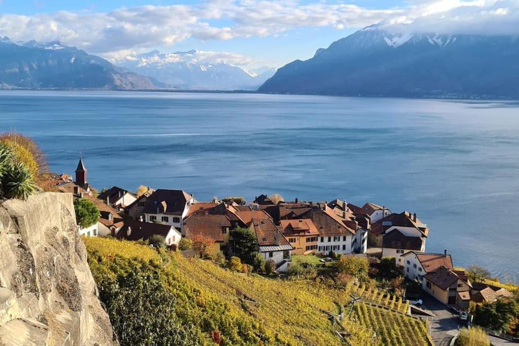 Le Toit De Chardonne - Entre Alpes Et Lac Leman エクステリア 写真