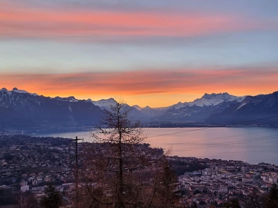Le Toit De Chardonne - Entre Alpes Et Lac Leman エクステリア 写真