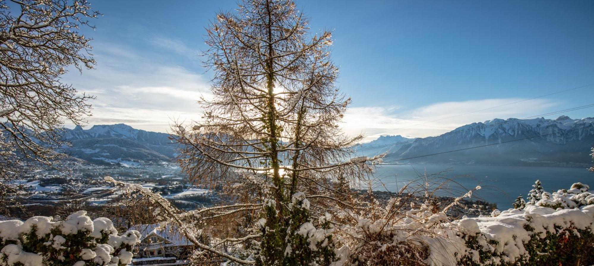 Le Toit De Chardonne - Entre Alpes Et Lac Leman エクステリア 写真